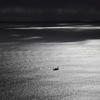 冬の海