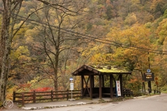 山峡のバス停