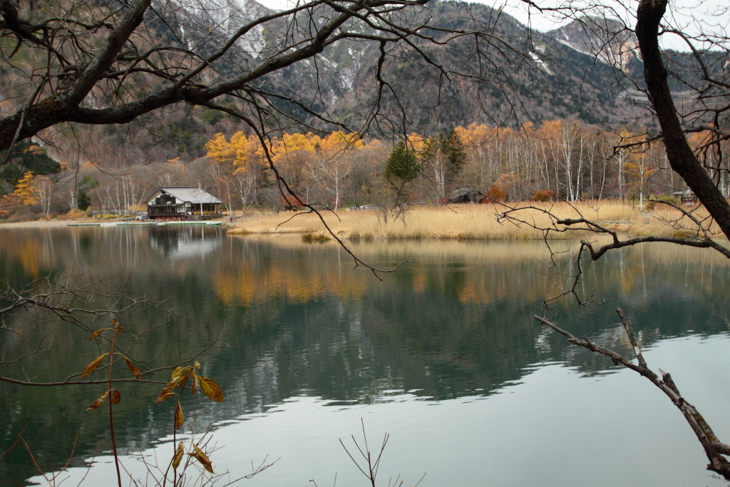 朝の水辺