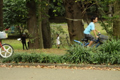 さまざまな人のための公園