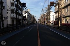 朝の散歩道 －３