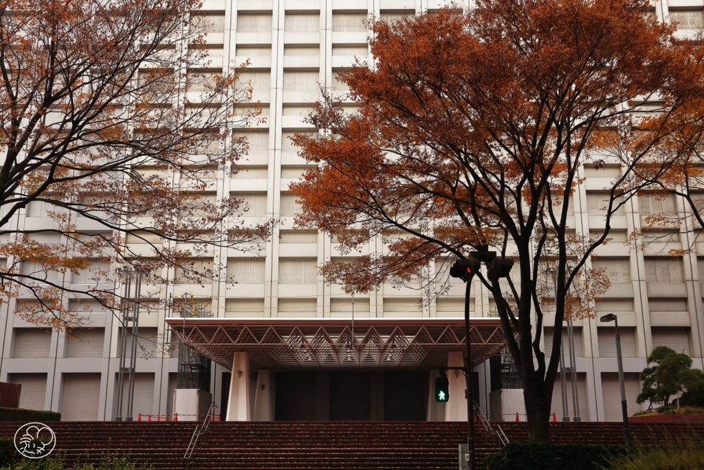 西新宿の紅葉