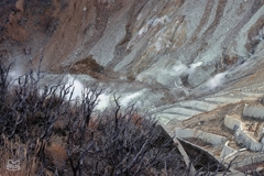 箱根大涌谷　４