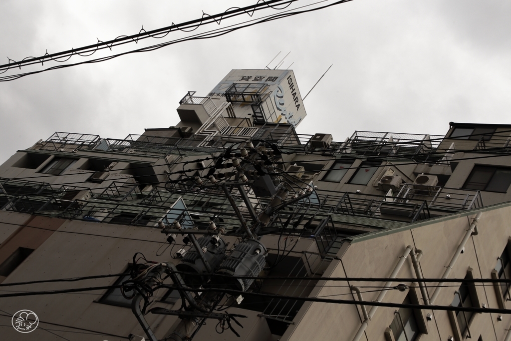 西新宿柏木