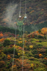 雨上がり