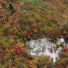 唐滝の紅葉
