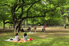 連休は緑陰で