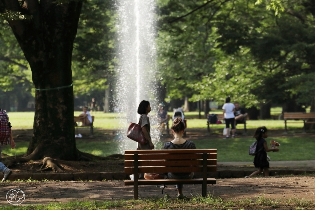梅雨の合間に