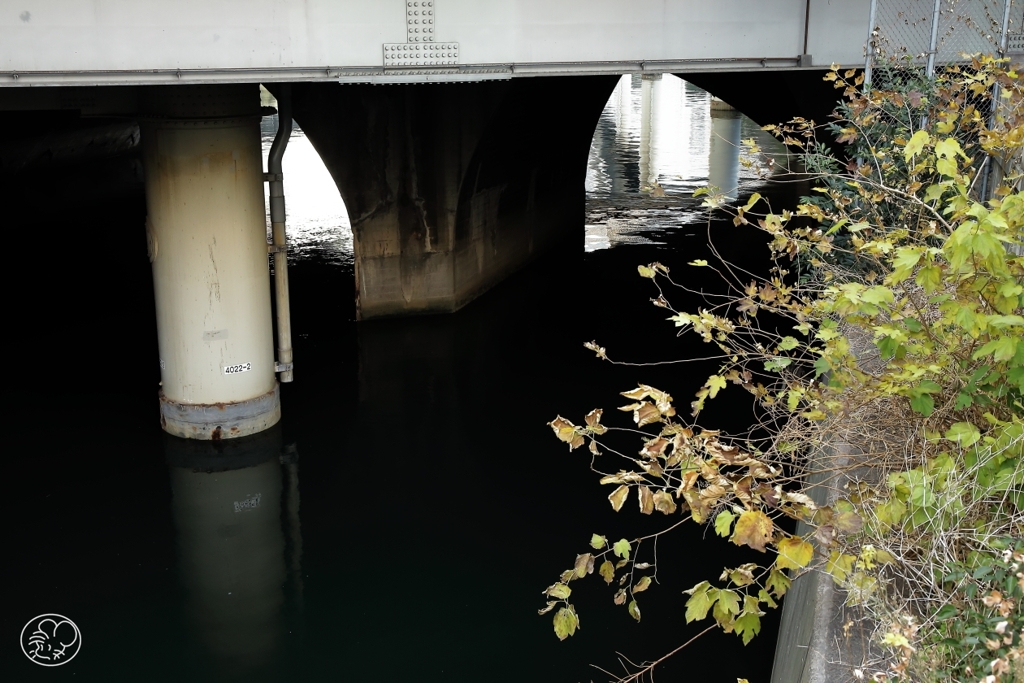 日本橋川　１