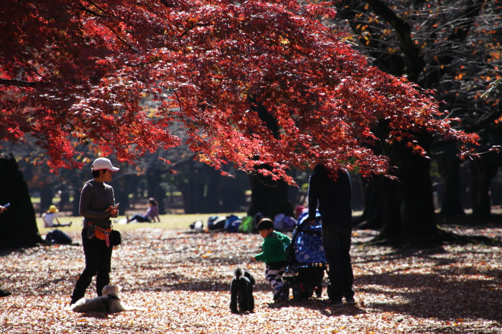 公園の人々－１６
