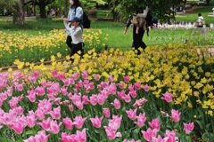 昭和記念公園　１０
