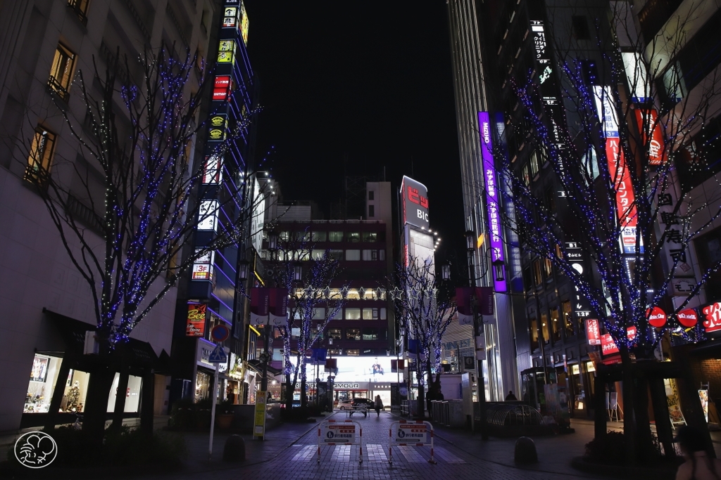 静かな正月　３