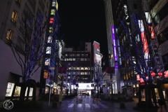 静かな正月　３