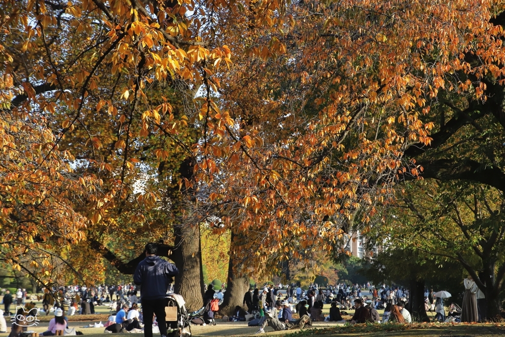 紅葉に集まる　２