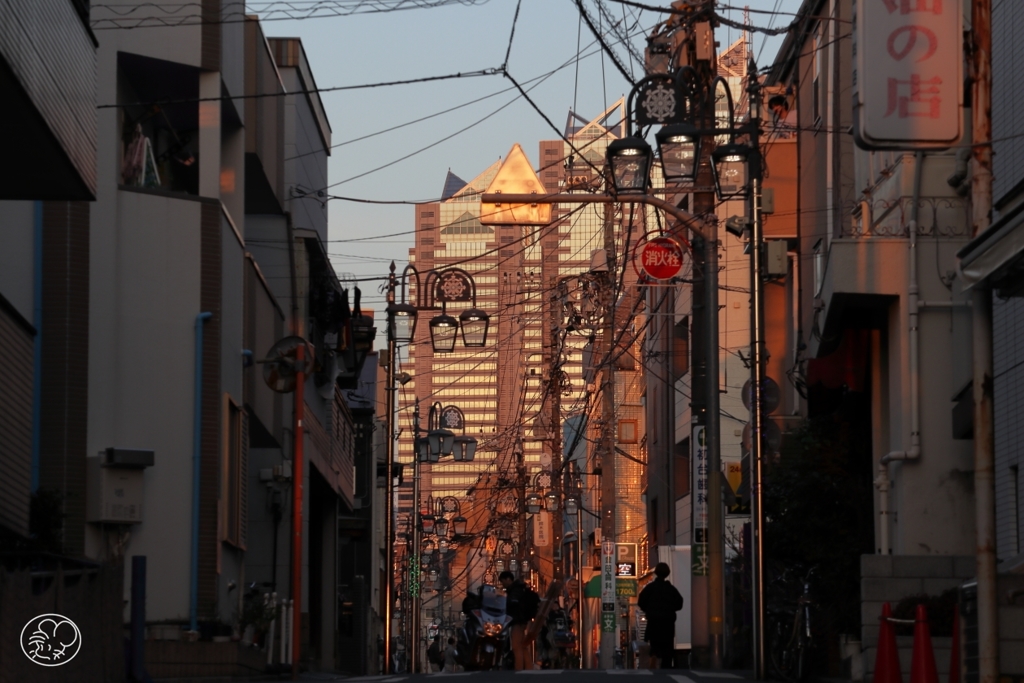 夕映え