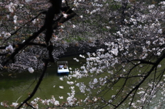 春風に誘われて