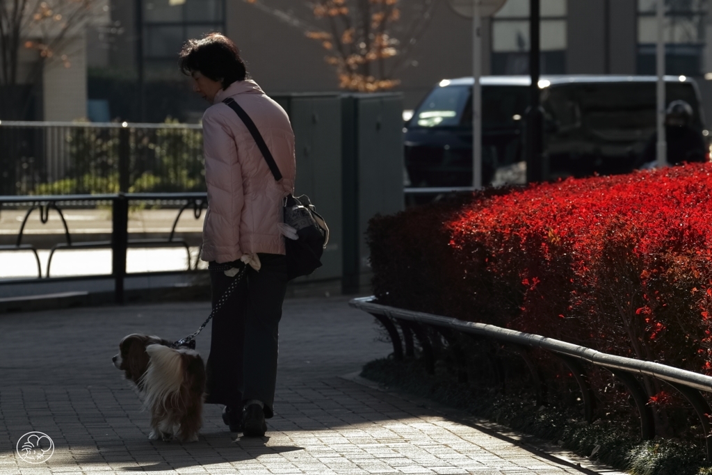 日常