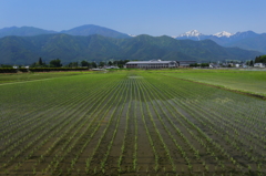 安曇野