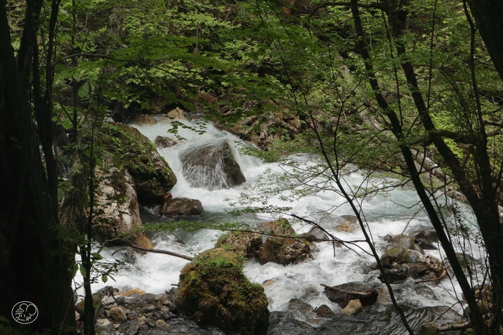 湯川　２