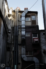 屋根の上へ