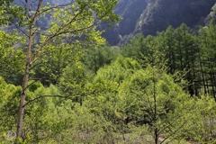 涼風が 肌に心に やさしくて 緑の中を 歩く楽しさ