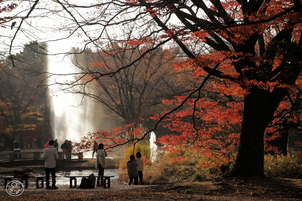 晩秋公園　３