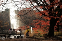 晩秋公園　３