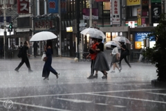 問答無用の雨