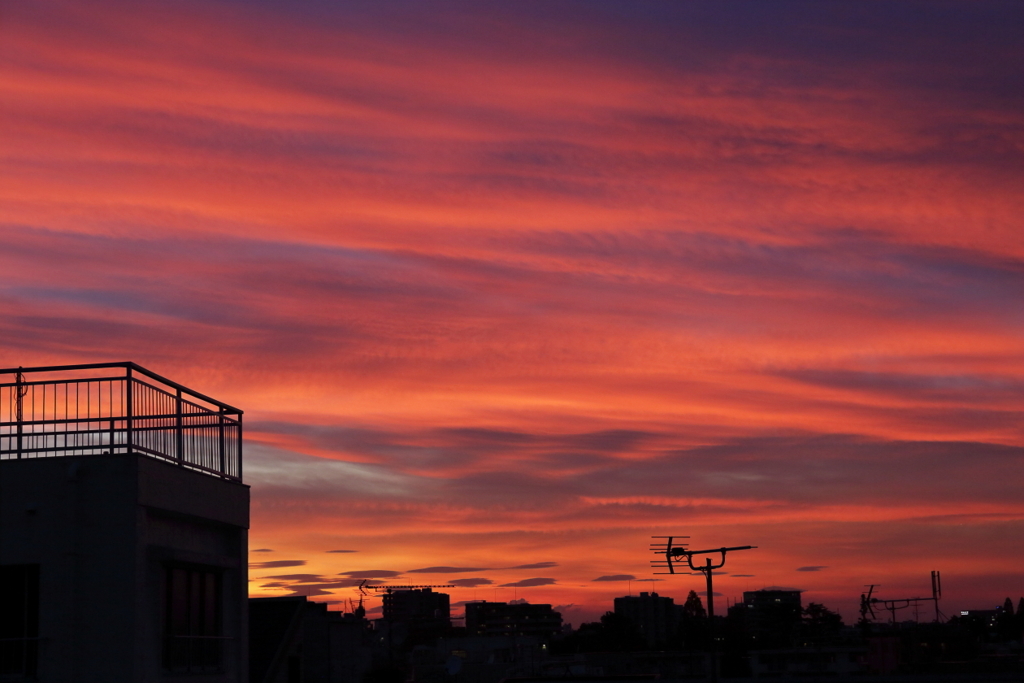 茜空