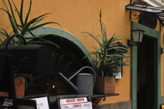 北青山界隈　１６