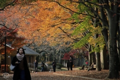 秋を送る公園