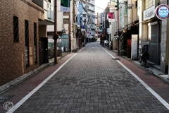 朝の散歩道 －１