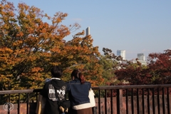 ケヤキの色も変わる頃