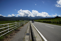夏に向かって