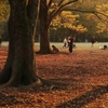 公園の秋　１０