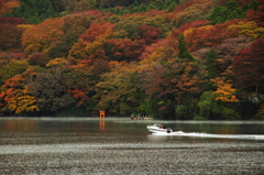 赤鳥居に向かって