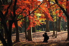 名残りの季節－１