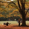 公園の秋　４
