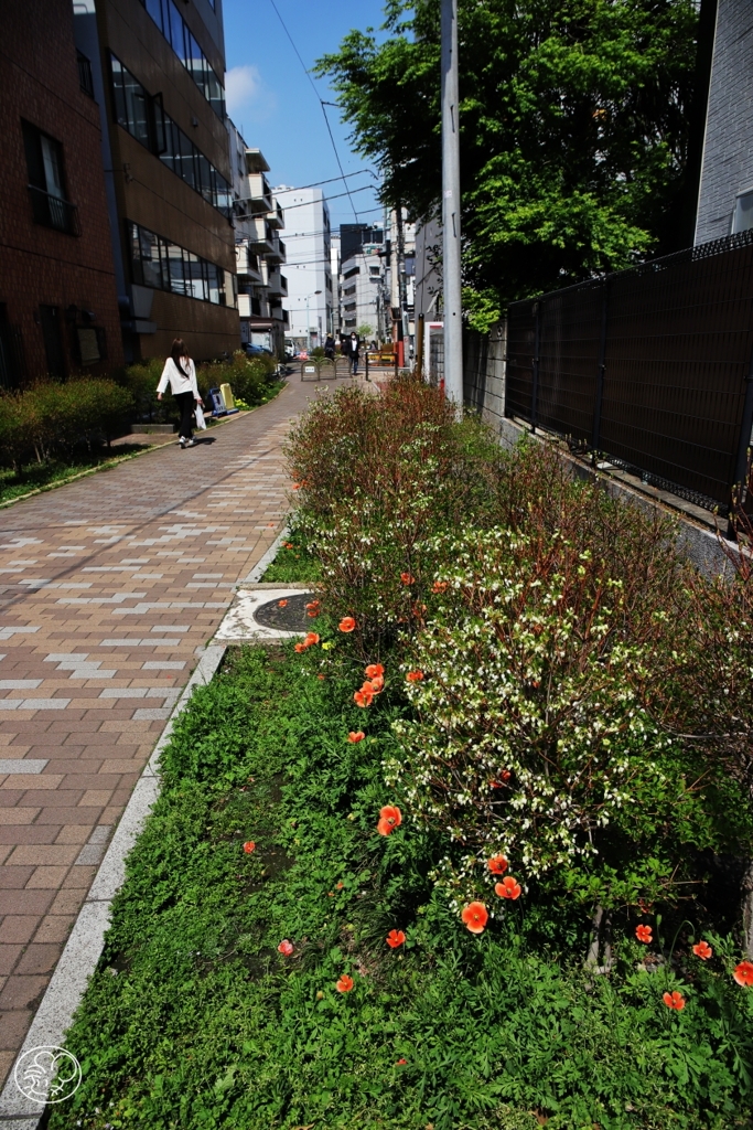 散歩道 －４