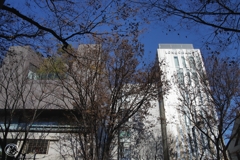 表参道の頭上　１