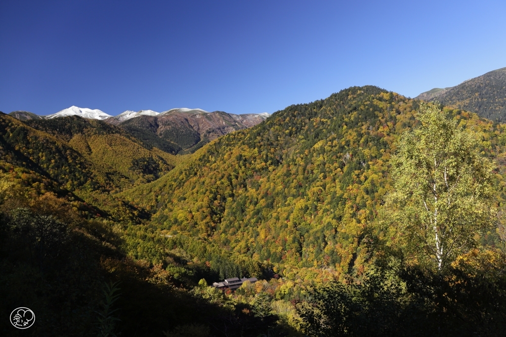 乗鞍岳遠望　１