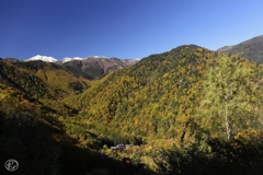 乗鞍岳遠望　１