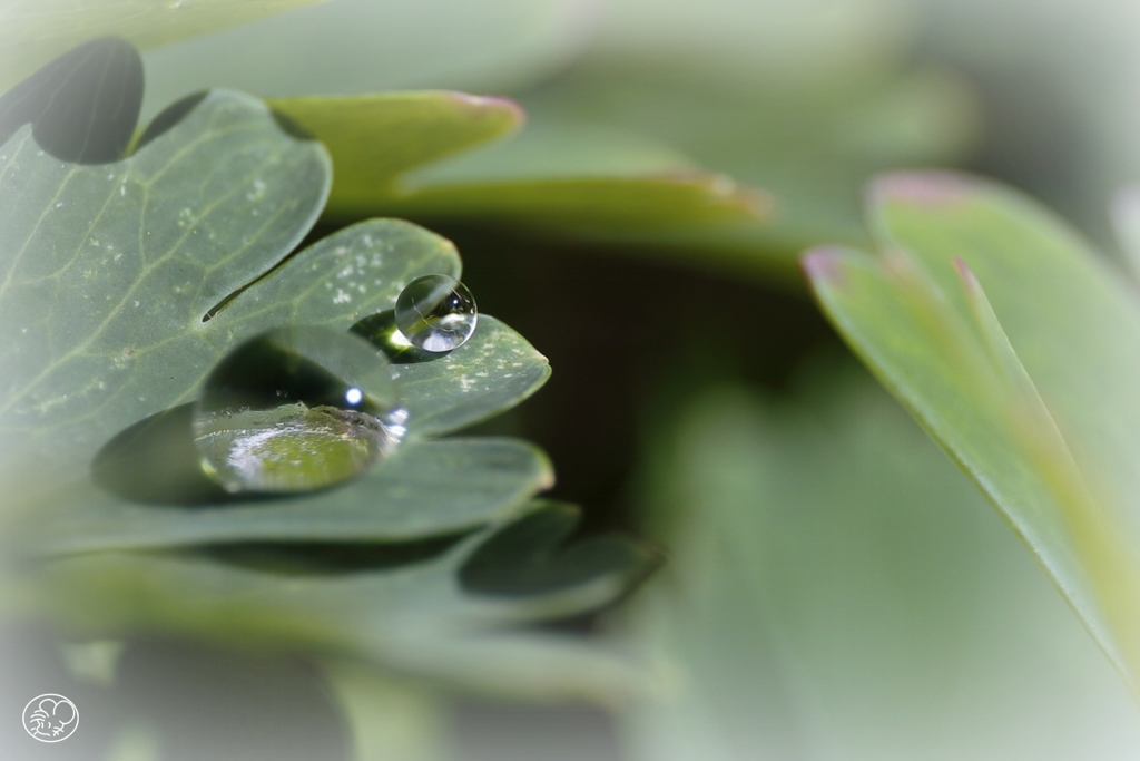 水晶玉のように