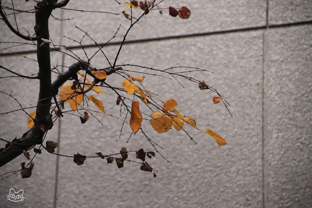 北青山界隈　２１