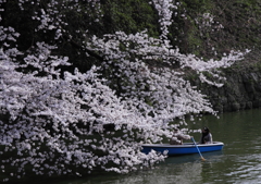 桜蔭の二人