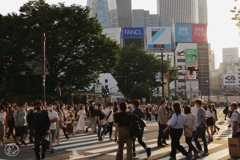 西日の新宿三丁目　３