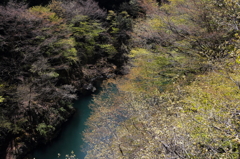 碧緑の水