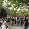 公園に人は集う