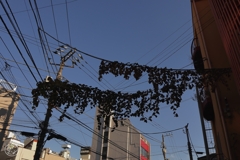 西麻布界隈　２