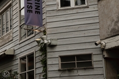 代官山の店 －５